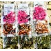 Sparkie Jighead Bulk Variety Pack (50)